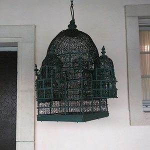 Meet your Posher, Torie